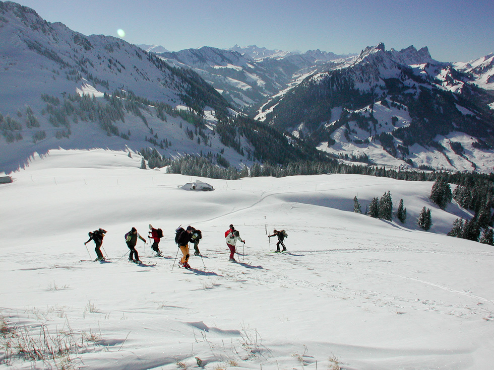 2006 Sortie peau Garten